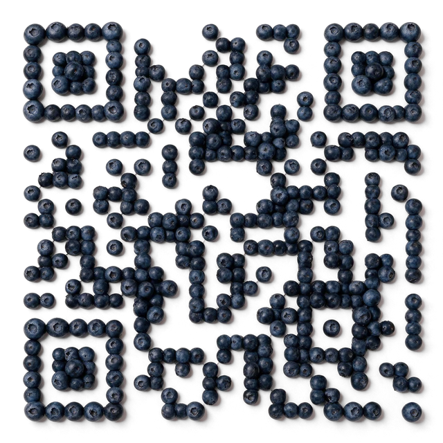 Blueberry food QR code template preview