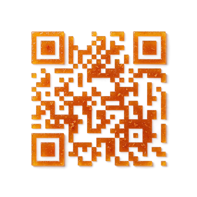 Orange food QR code template preview