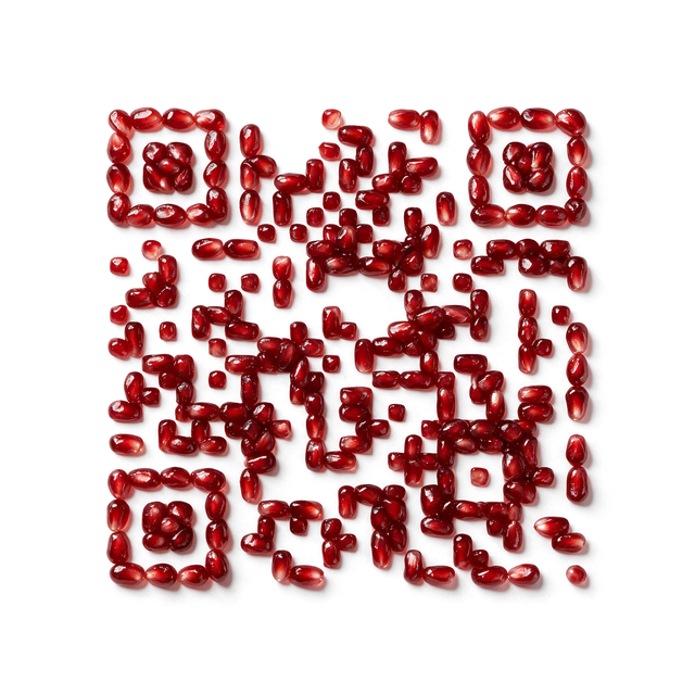 Pomegranate food QR code template preview